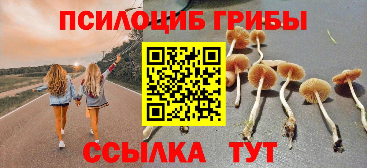 Галлюциногенные грибы ЛСД Валуйки